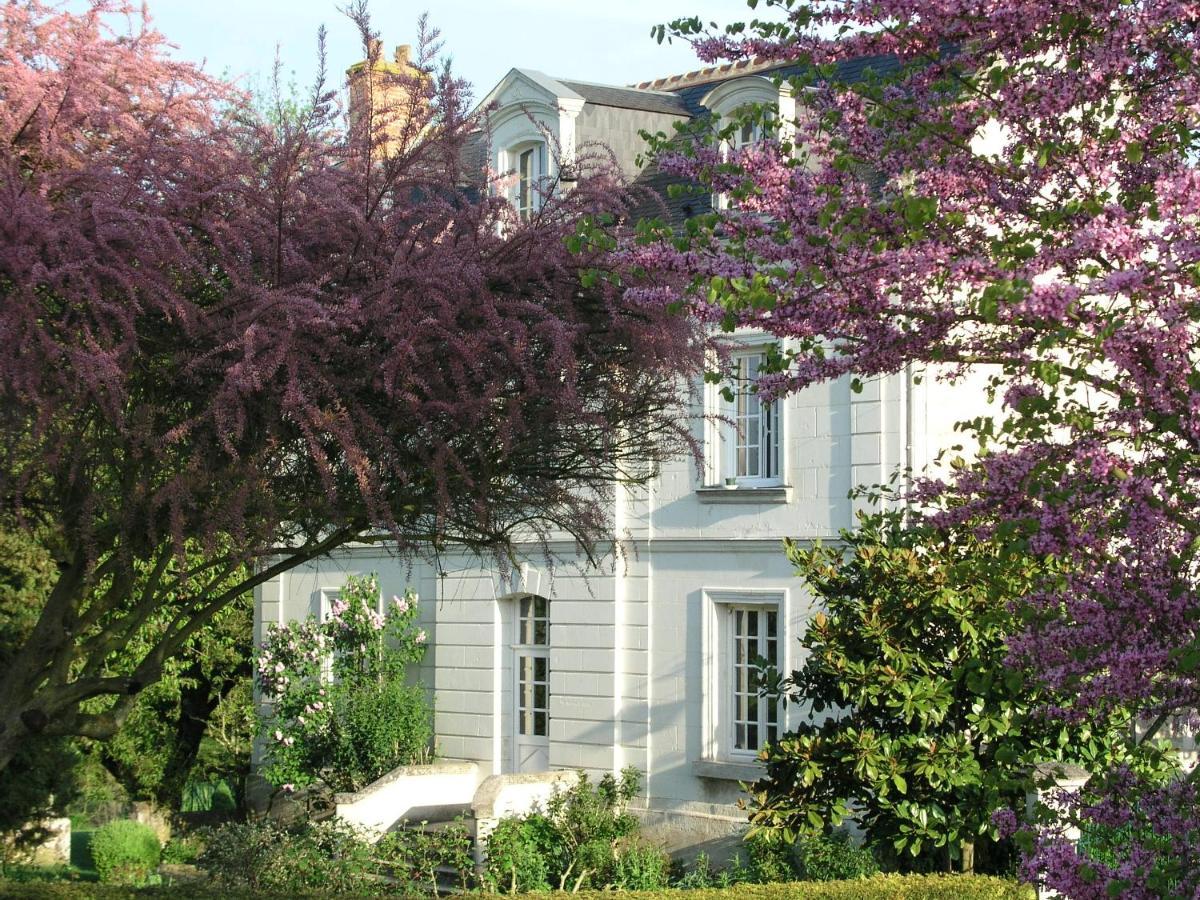 Bed and Breakfast Le Chat Courant Villandry Exterior foto